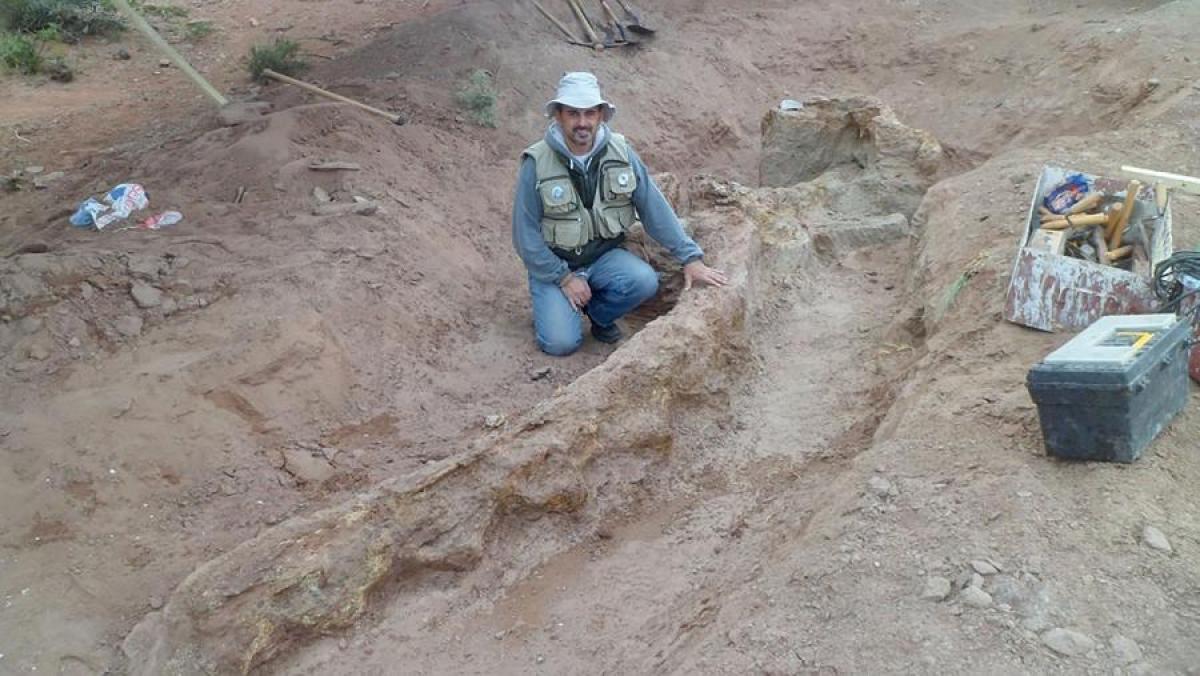 Lee más sobre el artículo El Conicet descubrió una nueva especie de dinosaurio en Neuquén