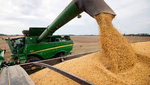 Lee más sobre el artículo Por las lluvias, la soja puede aportar USD 20.000 millones en exportaciones