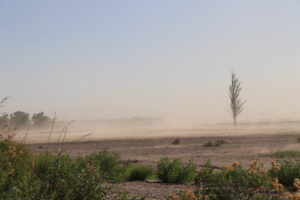 Lee más sobre el artículo Jornada de viento y descenso de temperatura en la región del Alto Valle