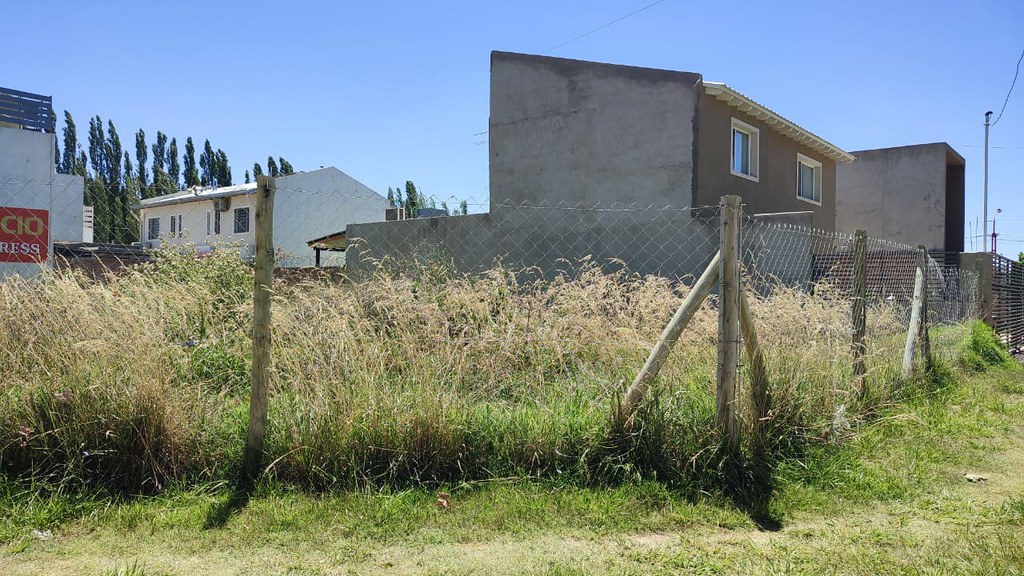 En este momento estás viendo 1.272.500 de pesos es la multa por no mantener limpio un terreno baldío