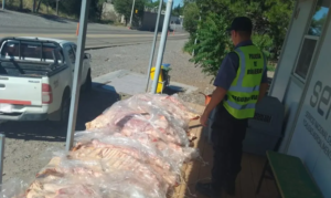 Lee más sobre el artículo La Policía secuestró más de media tonelada de carne en distintos operativos