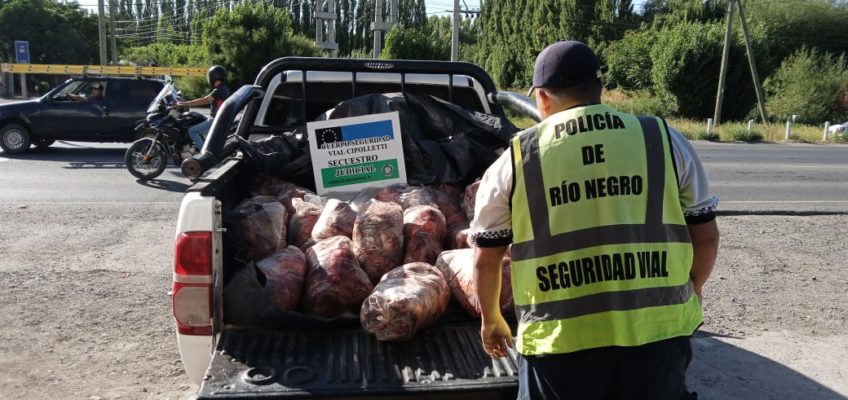 En este momento estás viendo En uno de los ingresos a Cipolletti, Seguridad Vial decomisó 380 kilos de carne