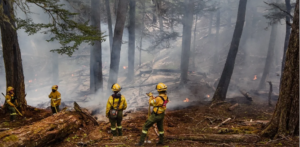 Lee más sobre el artículo Chubut: el fuego ya consumió más de 2.000 hectáreas