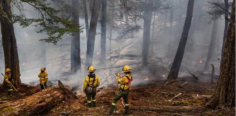 En este momento estás viendo Chubut: el fuego ya consumió más de 2.000 hectáreas