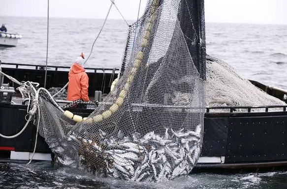 Lee más sobre el artículo Gobernadores en defensa de la pesca en la Patagonia