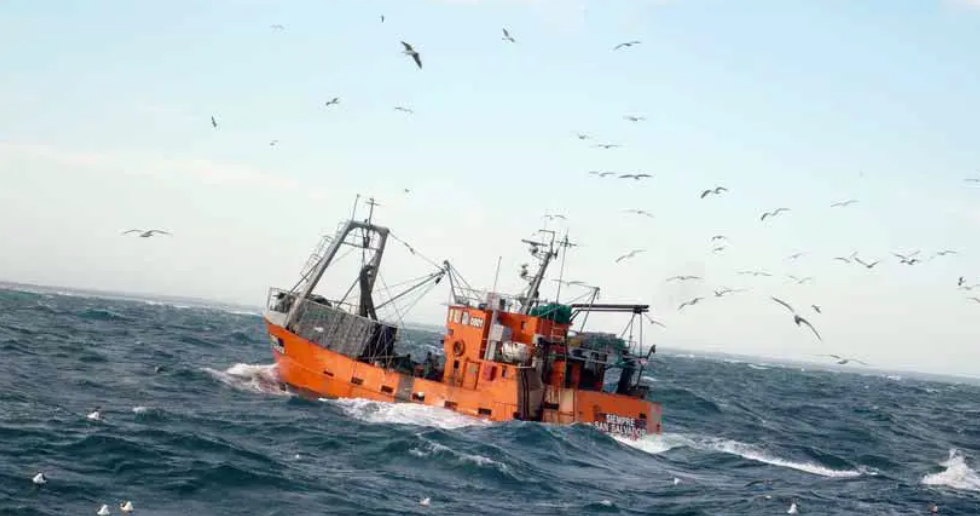 En este momento estás viendo La reforma pesquera atenta contra la actividad y la sustentabilidad del mar