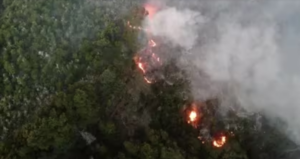 Lee más sobre el artículo Chubut ofrece $ 5 millones para quien brinde datos de los autores del incendio del Parque Nacional Los Alerces