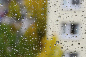 Lee más sobre el artículo Pronóstico de lluvias para este viernes y sábado