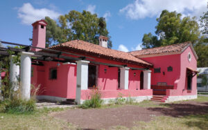 Lee más sobre el artículo El Museo Ameghino invita a descubrir la historia natural de la zona