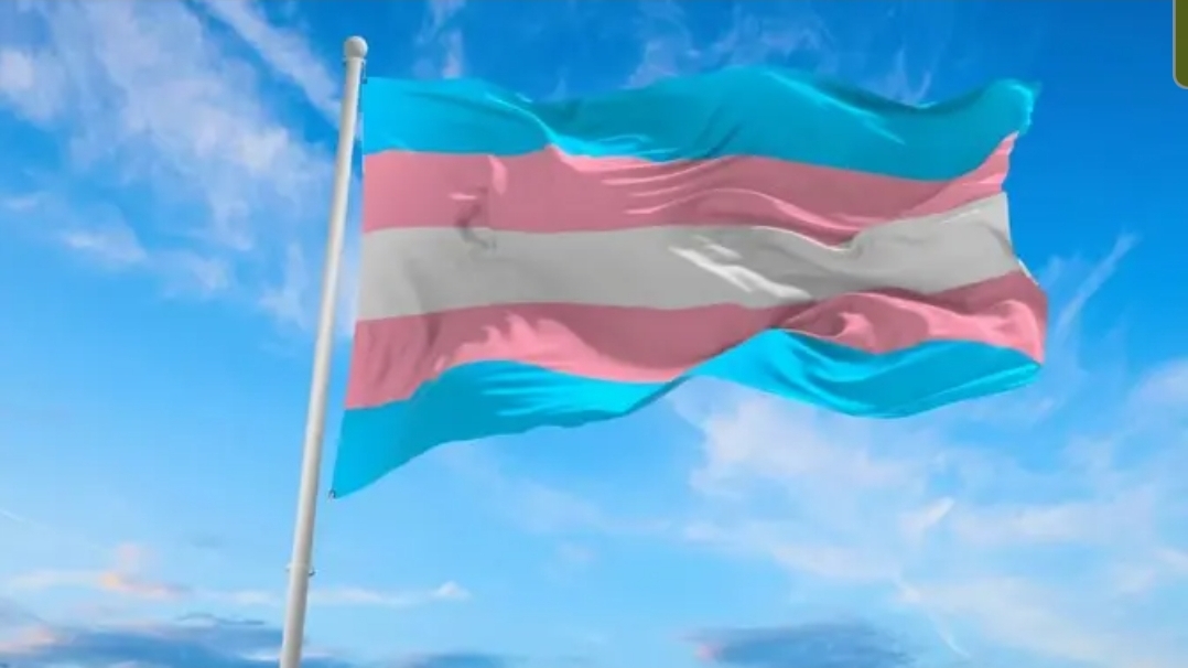 En este momento estás viendo Para generar conciencia: Día Internacional de la Visibilidad Trans