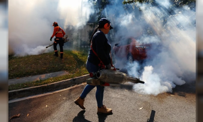 Lee más sobre el artículo El dengue ya mató a 50 personas en Paraguay