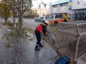 Lee más sobre el artículo Precaución: hoy sigue el viento intenso en el Alto Valle