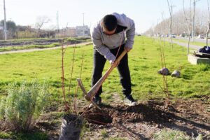 Lee más sobre el artículo La Municipalidad de Cipolletti y el INTA capacitarán a placeros