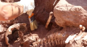 Lee más sobre el artículo Hallazgo arqueológico en Fernández Oro: restos humanos de 590 Años