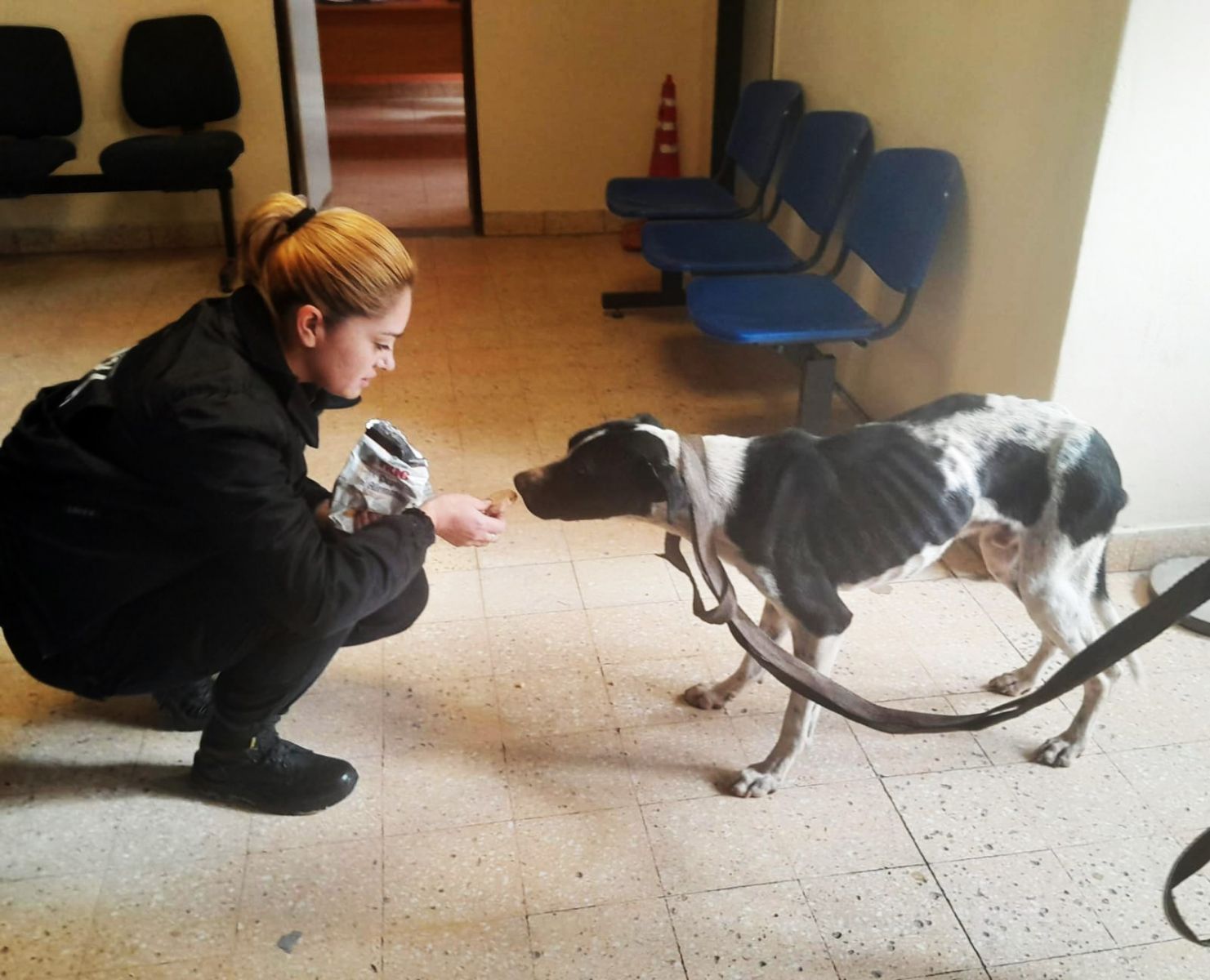 En este momento estás viendo Rescataron a un perrito desnutrido en el B° Luis Piedrabuena