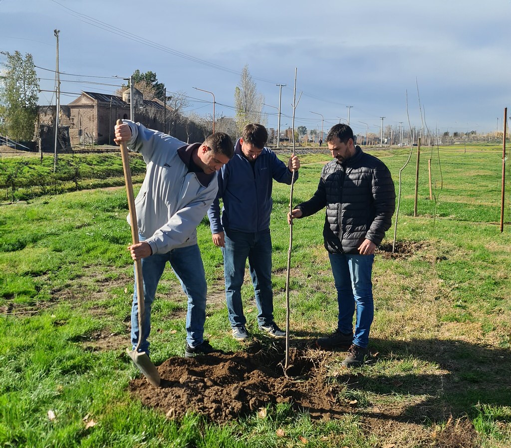 En este momento estás viendo Comenzó el plan de forestación en Cipolletti