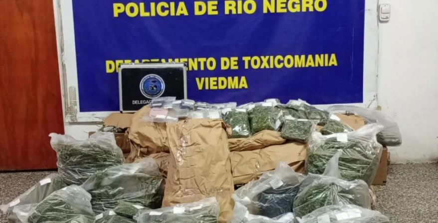 En este momento estás viendo El 0800 Drogas de Río Negro registra un récord de denuncias en lo que va de 2024