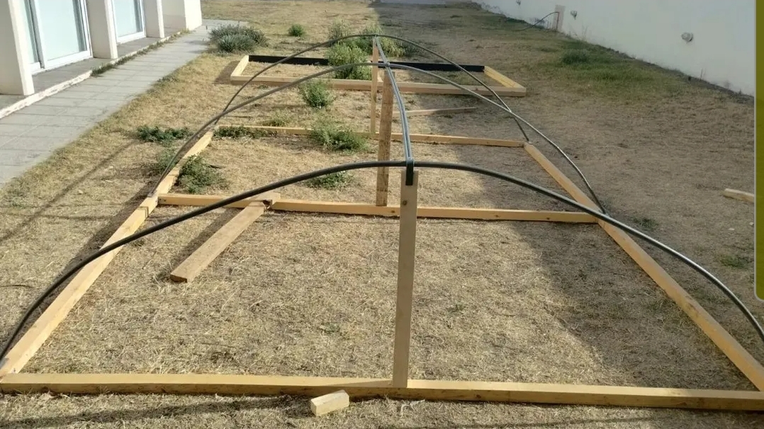 En este momento estás viendo Estudiantes de Beltrán crean un nuevo prototipo de plantinera en paneles