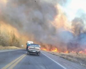 Lee más sobre el artículo En Cipolletti los bomberos trabajaron hasta las 2 de la mañana para extinguir los incendios