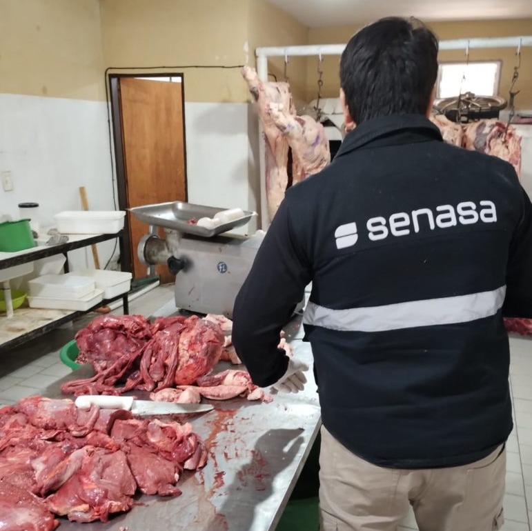 En este momento estás viendo Decomisaron más de 800 kilos de carne en mal estado en el Alto Valle