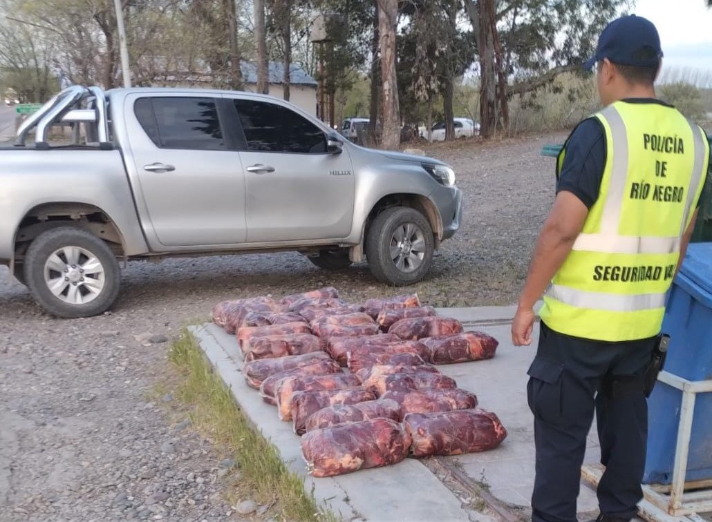 En este momento estás viendo Decomisaron carne sin hueso trasladada de manera irregular hacia La Pampa