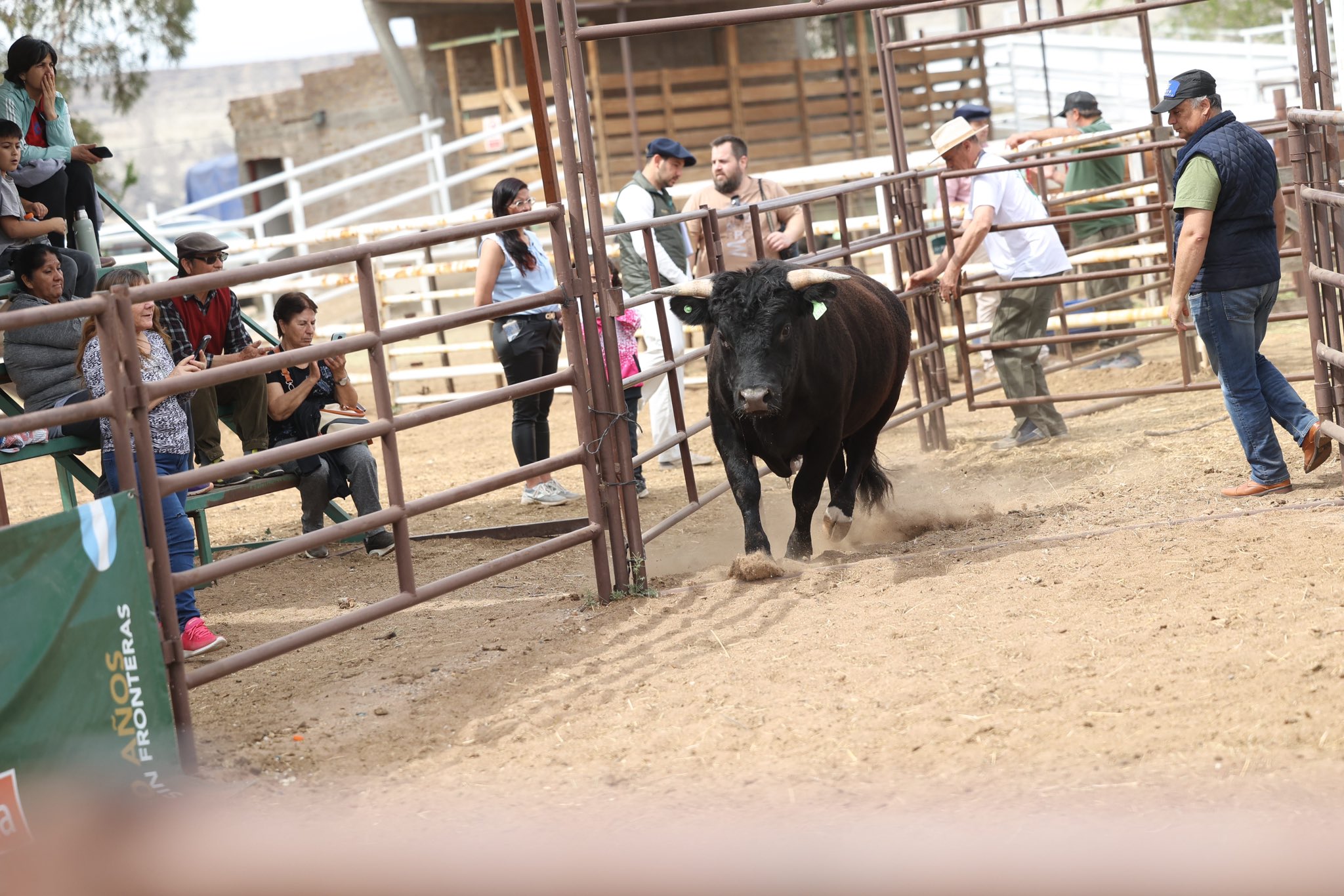 Lee más sobre el artículo La 13º Expo Ganadera: un encuentro clave para el sector rural