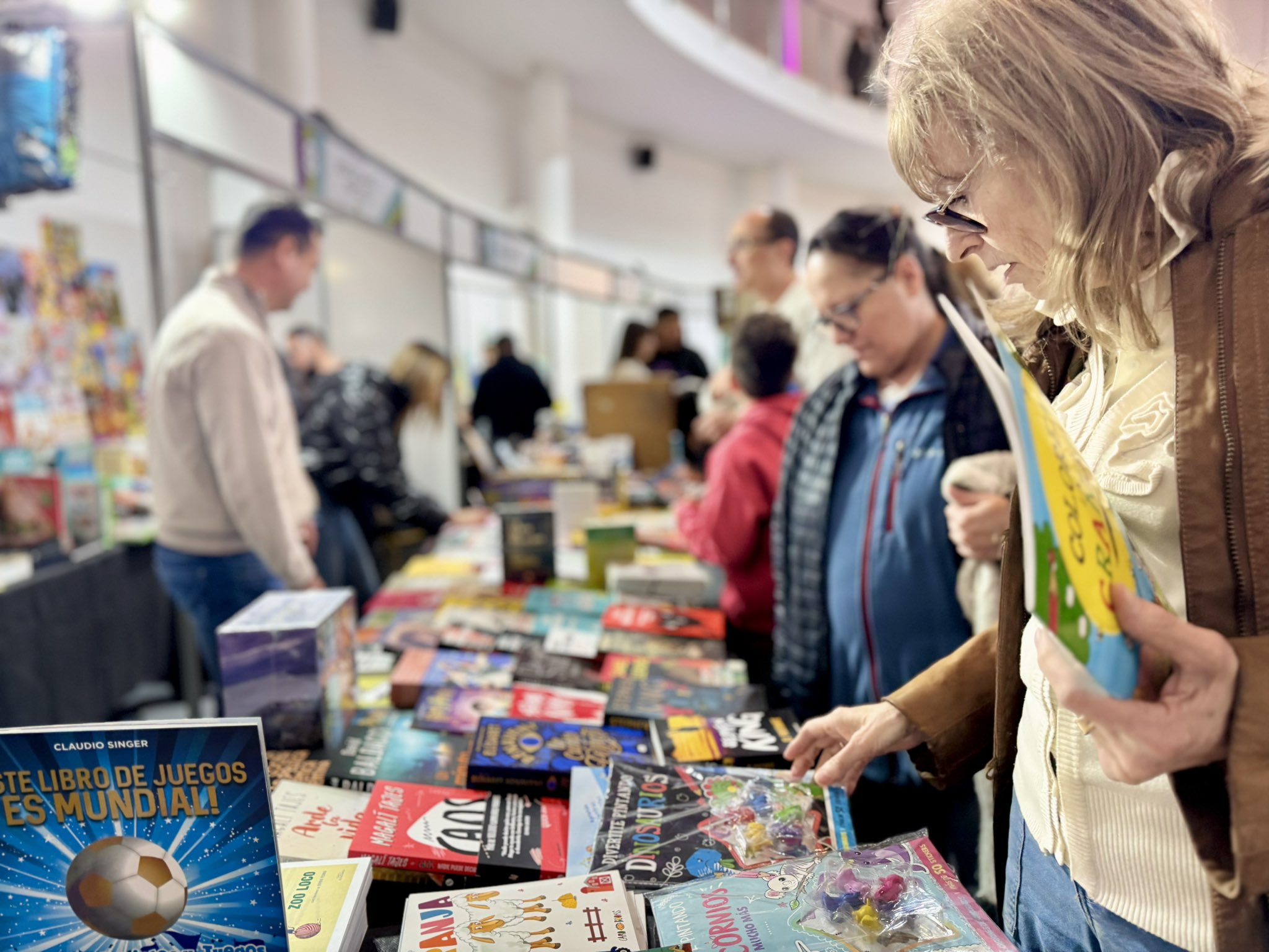 En este momento estás viendo Comenzó la 19ª Edición de la Feria del Libro de Cipolletti