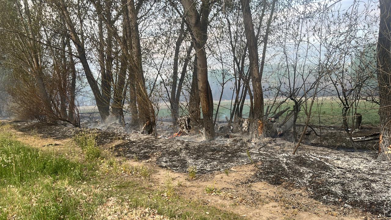 En este momento estás viendo Un incendio consumió 15 mil fardos en Cipolletti