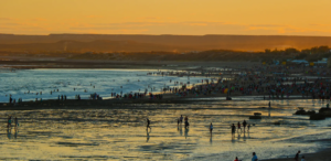 Lee más sobre el artículo ¿Vacaciones? Río Negro te espera para vivir un verano a orillas del mar