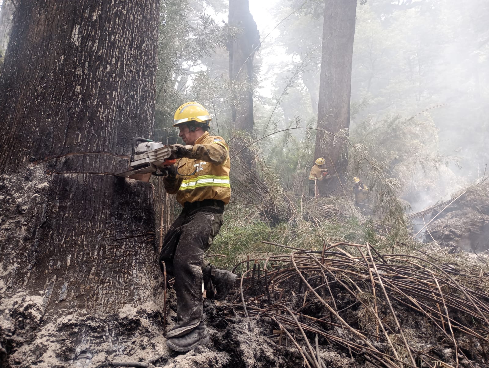 Lee más sobre el artículo Se mantiene activo el incendio en Los Manzanos y afecta a más de 5.400 hectáreas