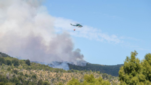 Lee más sobre el artículo El Bolsón: actualización sobre los incendios y el trabajo de recuperación