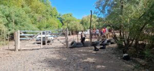 Lee más sobre el artículo Conflicto en la Isla Jordán: vecinos responden tras denuncia del Municipio