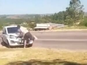 Lee más sobre el artículo Violento incidente en Brasil: rionegrino atacó a otro conductor y terminó preso