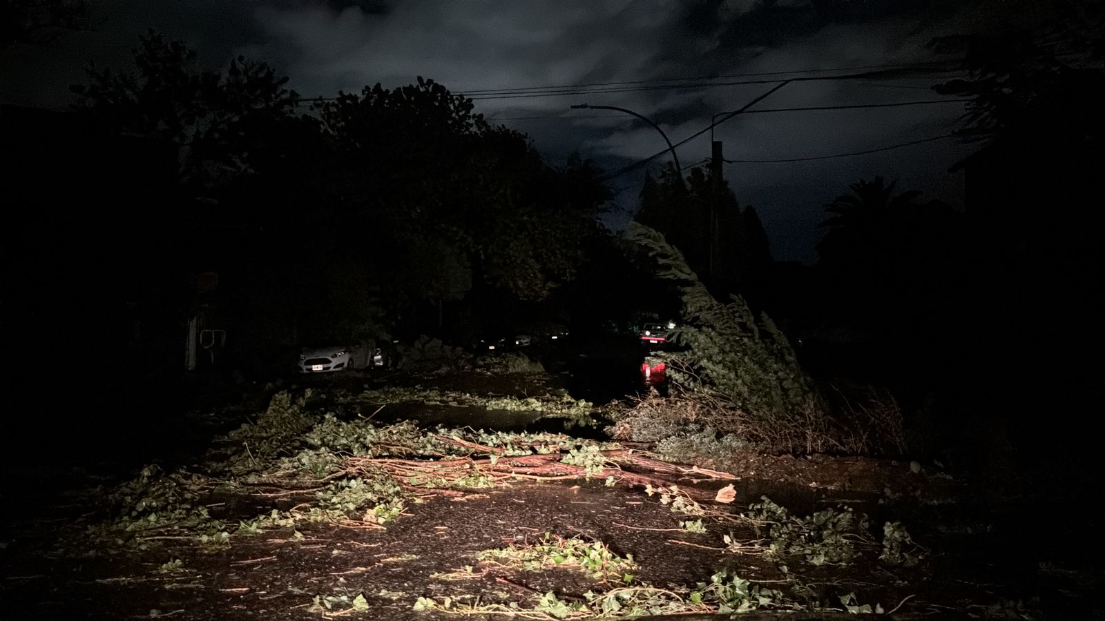 En este momento estás viendo Lo que dejó la tormenta: daños y apagones en varias ciudades del Alto Valle