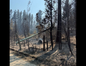 Lee más sobre el artículo Gobernadores Patagónicos se unen para enfrentar los incendios forestales