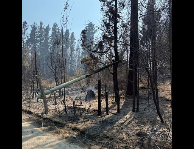 Lee más sobre el artículo Un hombre murió en los incendios en El Bolsón y el fuego sigue avanzando