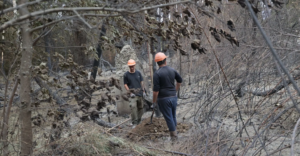 Lee más sobre el artículo Continúan los refuerzos de combate del incendio en El Bolsón