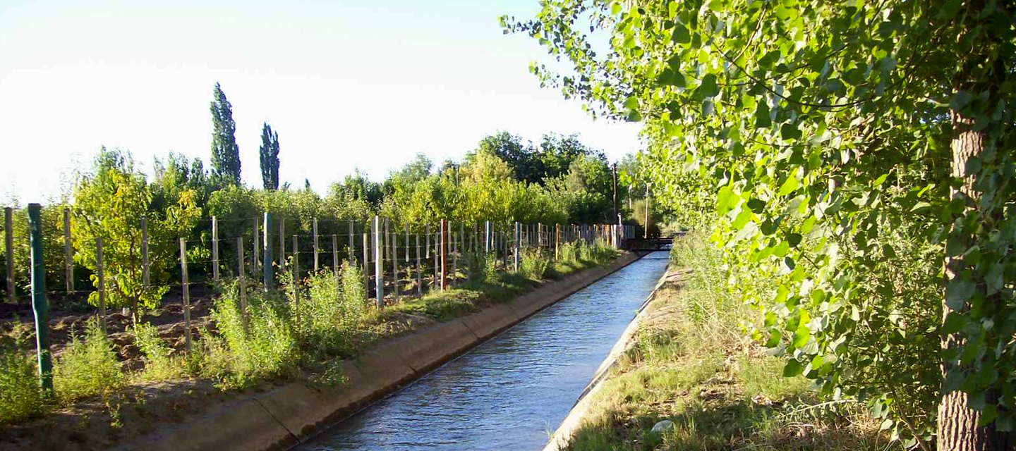Tareas de limpieza y mantenimiento en los canales de riego en Campo Grande