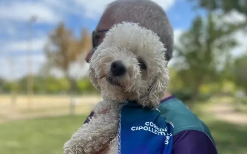 En este momento estás viendo Conoce todas las actividades de la 39° Corrida Ciudad de Cipolletti