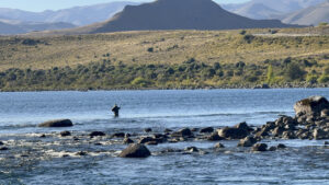 Lee más sobre el artículo Cuenta regresiva para el final de la temporada de pesca  en Dina Huapi
