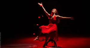 Lee más sobre el artículo La 33° Fiesta Provincial del Teatro se realizará en Río Colorado