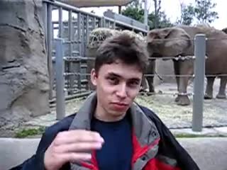 Lee más sobre el artículo Hace 20 años, un video de 18 segundos marcó el nacimiento de YouTube