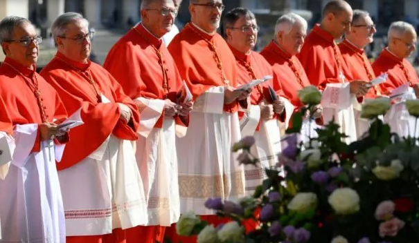 En este momento estás viendo El Vaticano ya fijó la fecha del cónclave para elegir al sucesor del papa Francisco