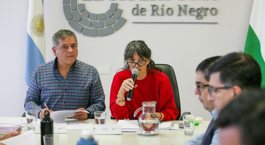 Lee más sobre el artículo Fuerte repudio en Río Negro a dichos de la diputada Villaverde