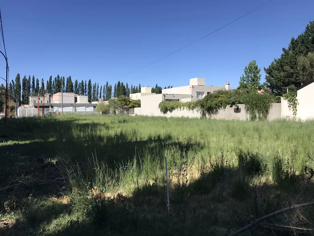 Lee más sobre el artículo Cipolletti subastará 14 terrenos con descuentos para reactivar tierras ociosas