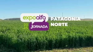 Lee más sobre el artículo Cuenta regresiva para la Expo Alfalfa de la Patagonia Norte: una jornada clave para el desarrollo forrajero regional