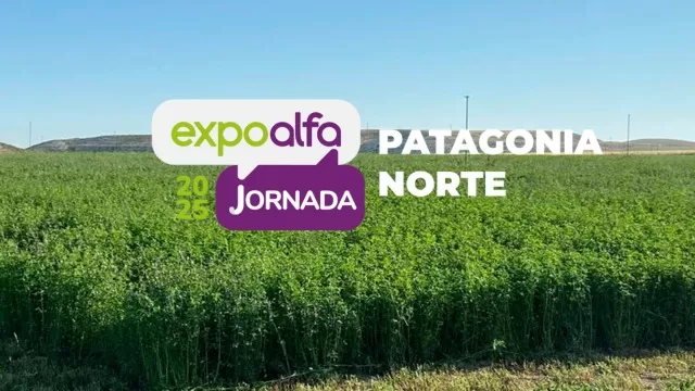 En este momento estás viendo Cuenta regresiva para la Expo Alfalfa de la Patagonia Norte: una jornada clave para el desarrollo forrajero regional
