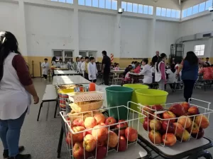 Lee más sobre el artículo Estudiante del CET 3 se retractó: “Nunca llegó comida en mal estado”