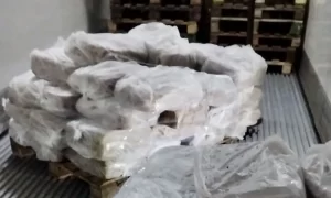 Lee más sobre el artículo Decomisan más de 30 toneladas de tripas sin habilitación sanitaria en Río Colorado