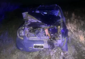 Lee más sobre el artículo Viajaba hacia Salta y volcó tras chocar con un toro en la Ruta 251